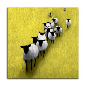 Obraz na plátně SHEEP A různé rozměry Ludesign ludesign obrazy: 60x60 cm