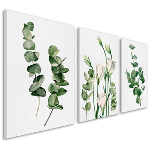 Obraz na plátně PLANTS III. set 3 kusy různé rozměry Ludesign ludesign obrazy: 3x 40x60 cm