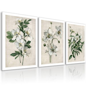 Obraz na plátně WHITE FLOWERS set 3 kusy různé rozměry Ludesign ludesign obrazy: 3x 40x60 cm