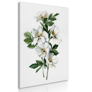 Obraz na plátně WHITE FLOWERS I. různé rozměry Ludesign ludesign obrazy: 100x70 cm