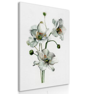 Obraz na plátně WHITE FLOWERS II. různé rozměry Ludesign ludesign obrazy: 70x50 cm
