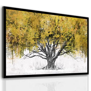 Obraz na plátně OLD TREE různé rozměry Ludesign ludesign obrazy: 80x60 cm
