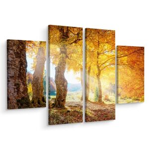 Vícedílné plátno Slunečný Podzimní Les Varianta: 120x160