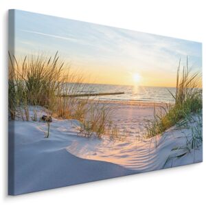 Plátno Východ Slunce Na Písečné Pláži Varianta: 40x30