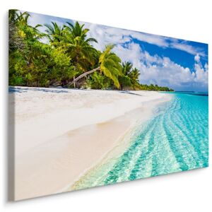 Plátno Moře A Tropické Pláže Varianta: 90x60
