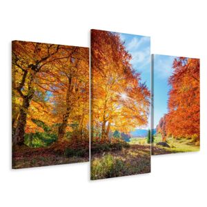 Vícedílné plátno Barevné Podzimní Stromy Varianta: 80x120