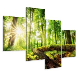 Vícedílné plátno Sluneční Paprsky V Lese 3D Varianta: 150x240