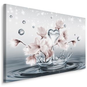 Plátno Květy Magnólie s 3D Kapkami Vody Varianta: 100x70