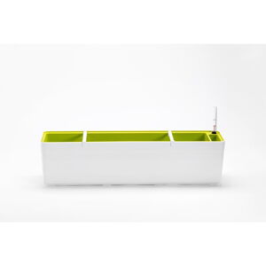 Bílo-zelený samozavlažovací truhlík, délka 78 cm Berberis - Plastia