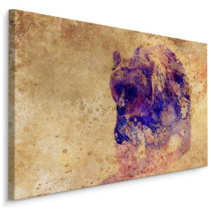 MyBestHome BOX Plátno Divoký Medvěd Varianta: 40x30