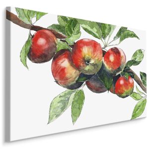 MyBestHome BOX Plátno Jablka Na Větvi Varianta: 120x80
