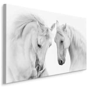 MyBestHome BOX Plátno Dva Bílí Koně Varianta: 40x30