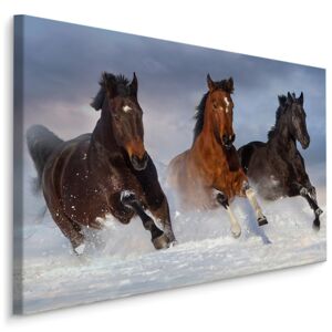MyBestHome BOX Plátno Cválající Koně V Zimě Varianta: 30x20