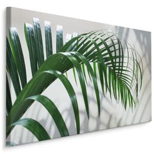MyBestHome BOX Plátno Zelený Palmový List S 3D Efektem Varianta: 30x20