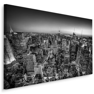 Plátno Pohled Na Manhattan V BW Varianta: 30x20