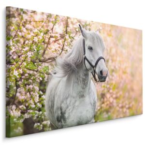 MyBestHome BOX Plátno Kůň A Jaro Varianta: 100x70