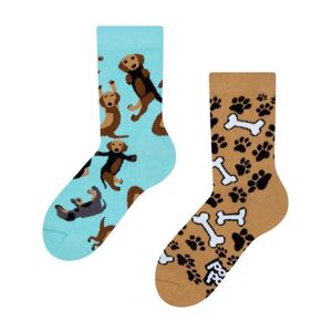 DEDOLES Veselé ponožky jezevčíci 35-38