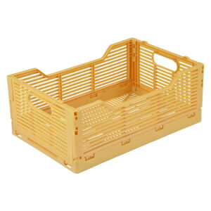 Okrově žlutý plastový úložný box 30x20x11.5 cm – Homéa