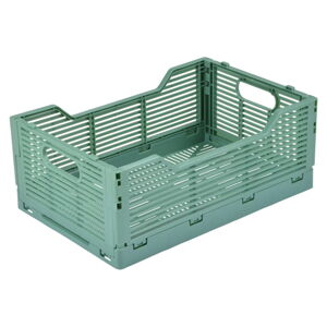 Světle zelený plastový úložný box 30x20x11.5 cm – Homéa